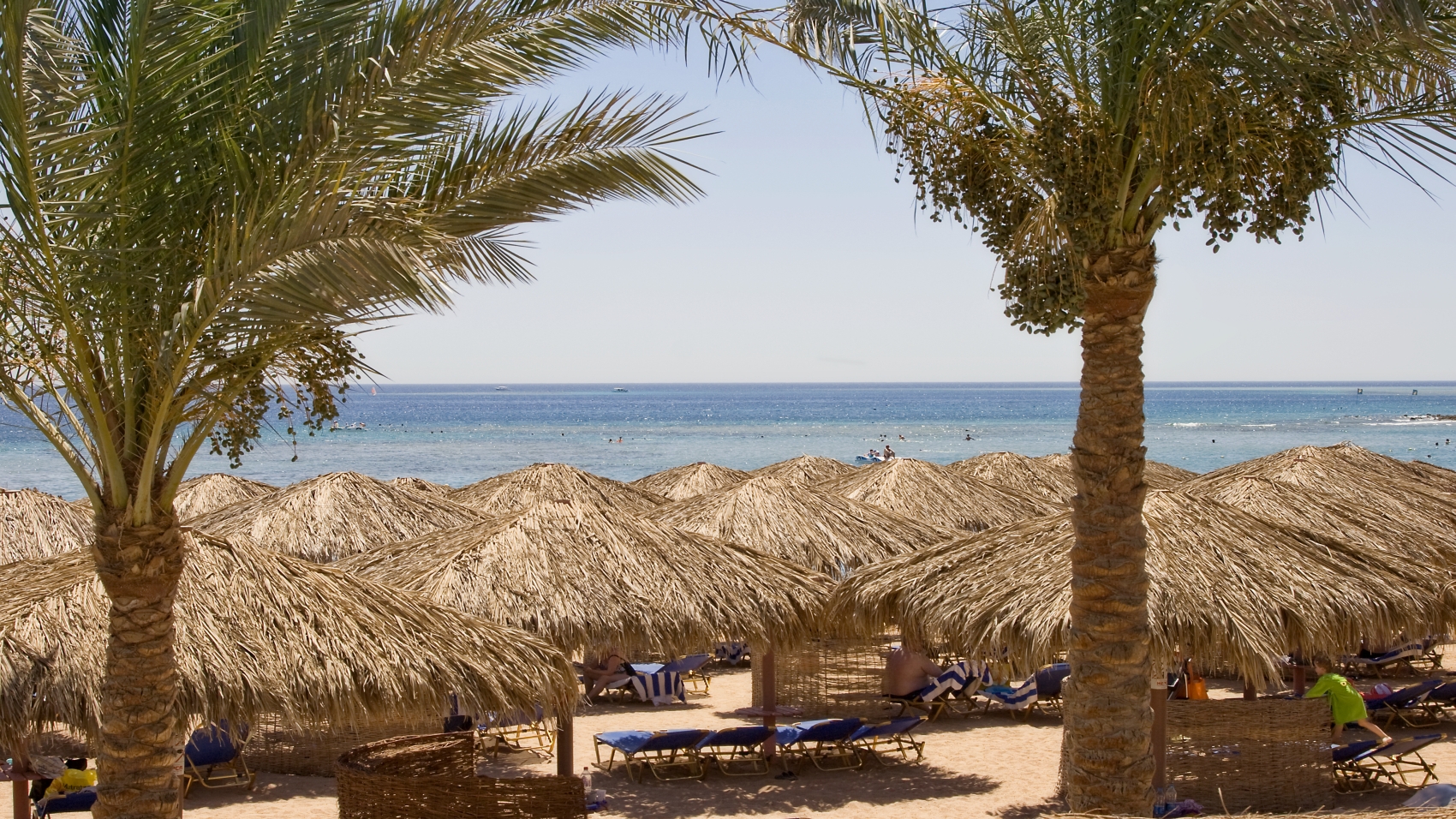 Jaz Makadi Star and Spa | Red Sea | Egypt